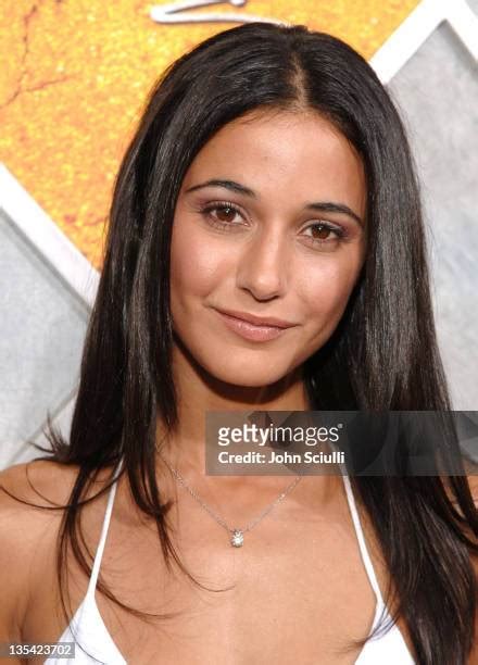 emmanuelle chriqui hot|14,597 Emmanuelle Chriqui Photos & High